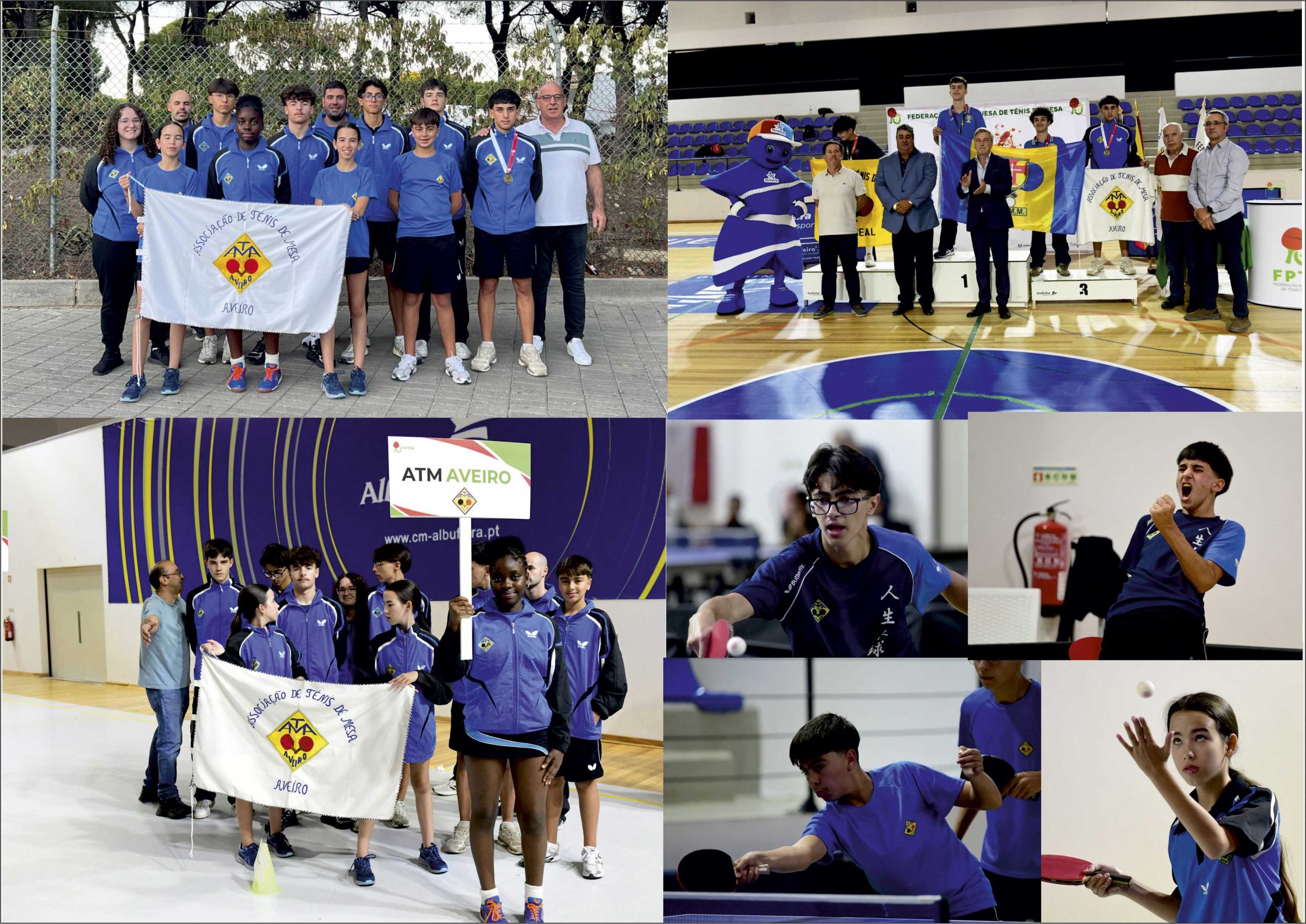 ATMA NO INTER-ASSOCIAÇÕES REGIONAIS